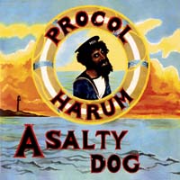 A Salty Dog
